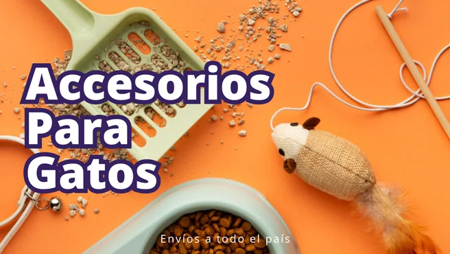 Accesorios para gatos